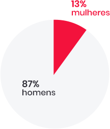 13% mulheres - 87% homens