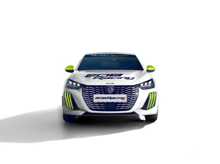 Peugeot 208 Racing: carro de rally de baixo custo
