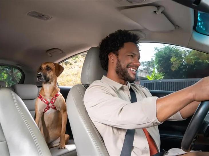 Webmotors: 30 anos inovando o mercado automotivo