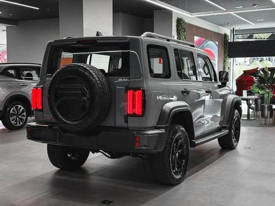 Carro 2.0 HI4-T PHEV 4X4 9HAT