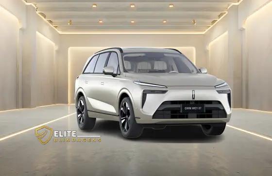 Carro 1.5 TURBO PHEV AWD DHT