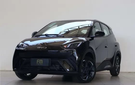 Carro 38 KW ELÉTRICO GS
