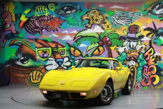 Carro 5.7 V8 GASOLINA STINGRAY TARGA AUTOMÁTICO