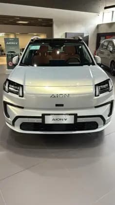 Carro 75,3 KW ELÉTRICO ELITE