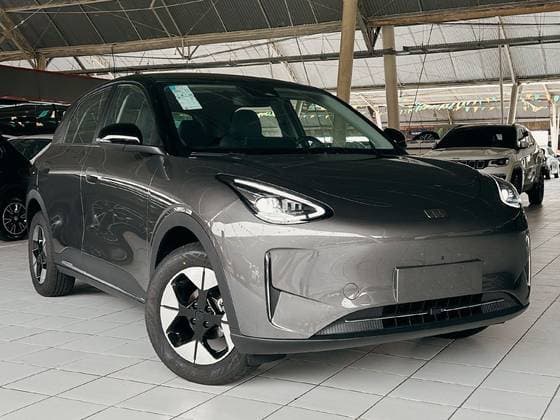 Carro 39,4 KW ELÉTRICO MAX