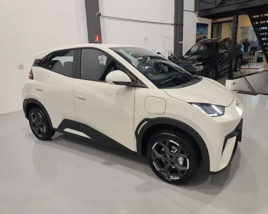 Carro 38 KW ELÉTRICO GS