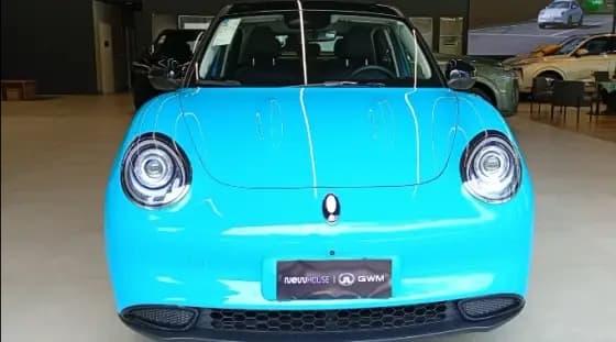 Carro 58 KW ELÉTRICO BEV58