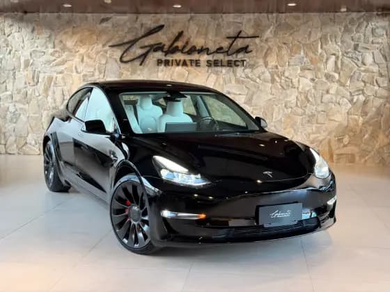 Carro ELÉTRICO AWD LONG RANGE PERFORMANCE