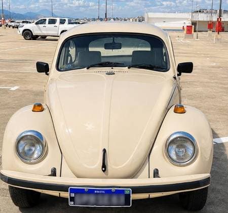 Carro 1.6 8V ÁLCOOL 2P MANUAL