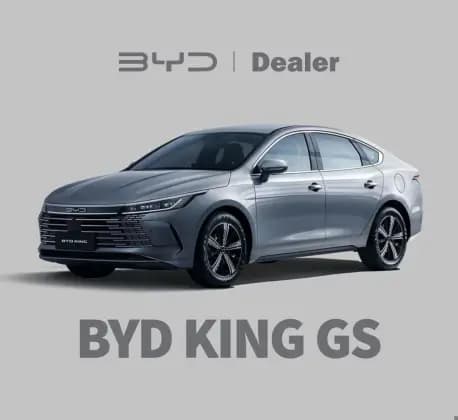 Carro 1.5 DM-I PHEV GS AUTOMÁTICO