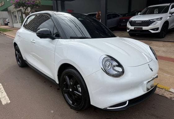 Carro 58 KW ELÉTRICO BEV58