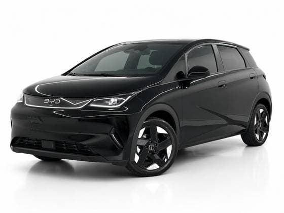 Carro 44,9 KW ELÉTRICO GS
