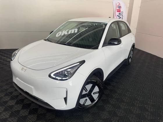 Carro 39,4 KW ELÉTRICO PRO