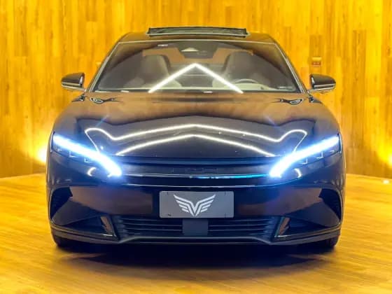 Carro ELÉTRICO AWD