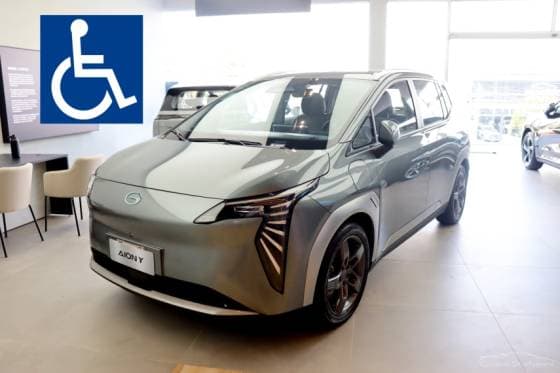 Carro 63,2 KW ELÉTRICO ELITE