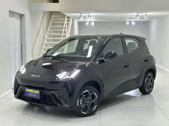 Carro 38 KW ELÉTRICO GS