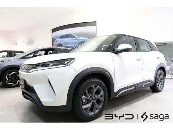 Carro 45,1 KW ELÉTRICO
