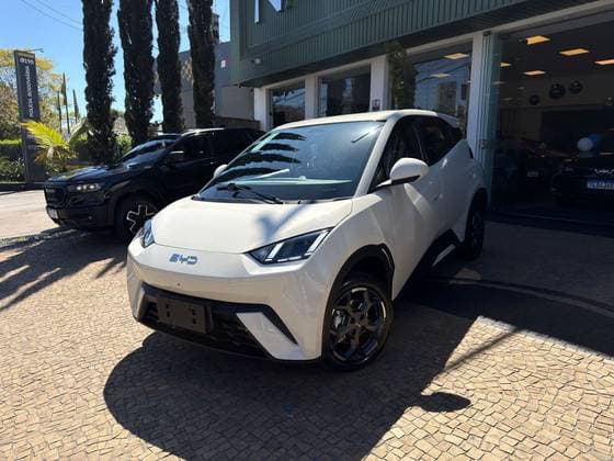 Carro 38 KW ELÉTRICO GS