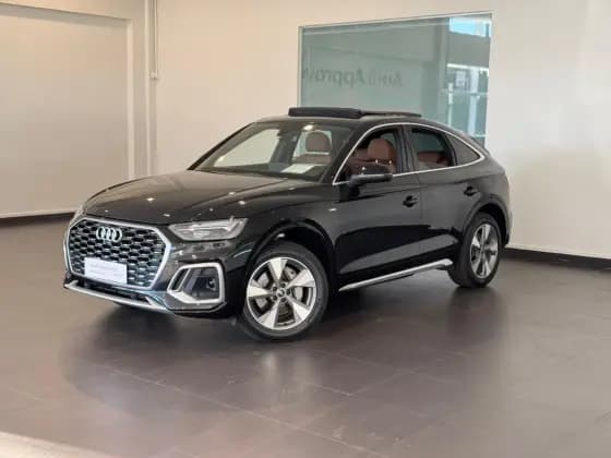Carro 2.0 55 TFSIE PHEV SPORTBACK PERFORMANCE QUATTRO S TRONIC