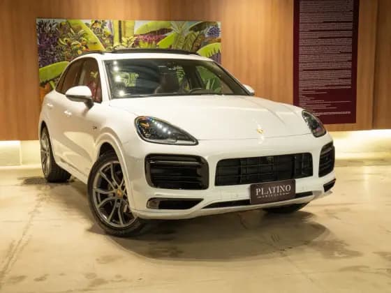 Carro 3.0 V6 E-HYBRID PLATINUM EDITION AWD TIPTRONIC S