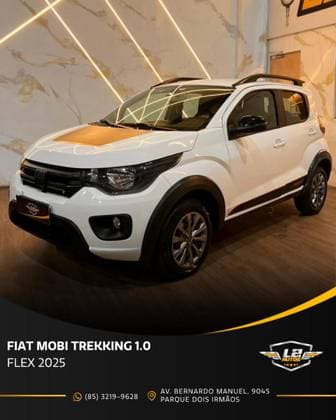 Carro 1.0 EVO FLEX TREKKING MANUAL