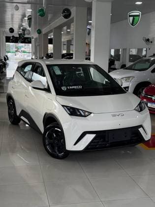 Carro 38 KW ELÉTRICO GS