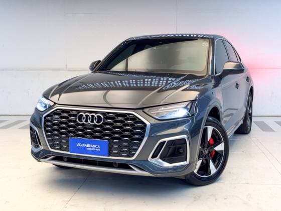 Carro 2.0 55 TFSIE PHEV SPORTBACK PERFORMANCE QUATTRO S TRONIC