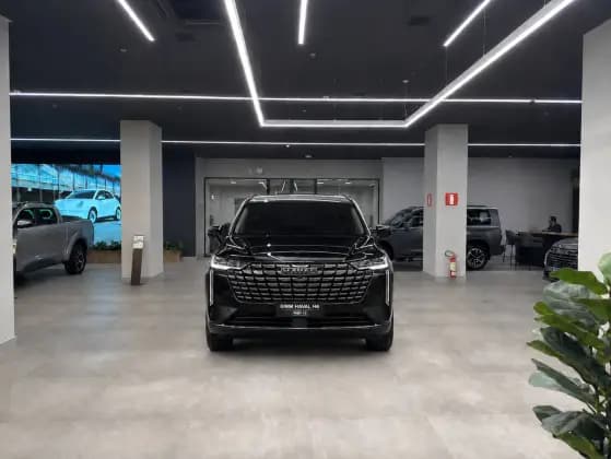 Carro 1.5 FLEX PHEV19 E-TRACTION