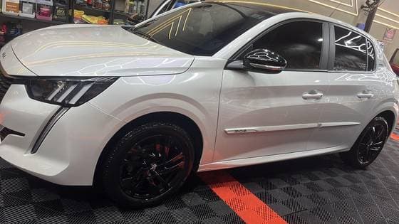 Carro 1.0 FIREFLY FLEX STYLE MANUAL