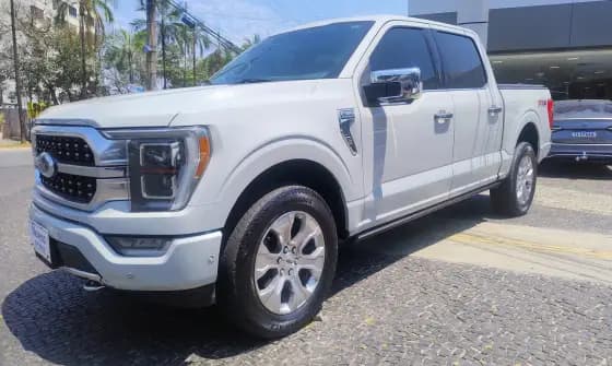 Carro 5.0 V8 GASOLINA CD PLATINUM FX4 AUTOMÁTICO