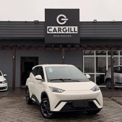 Carro 38 KW ELÉTRICO GS