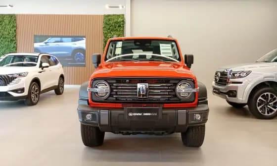 Carro 2.0 HI4-T PHEV 4X4 9HAT