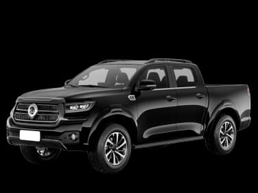 GWM POER P30