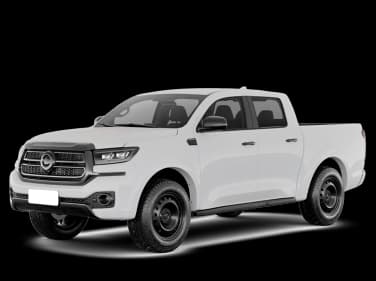 GWM POER P30