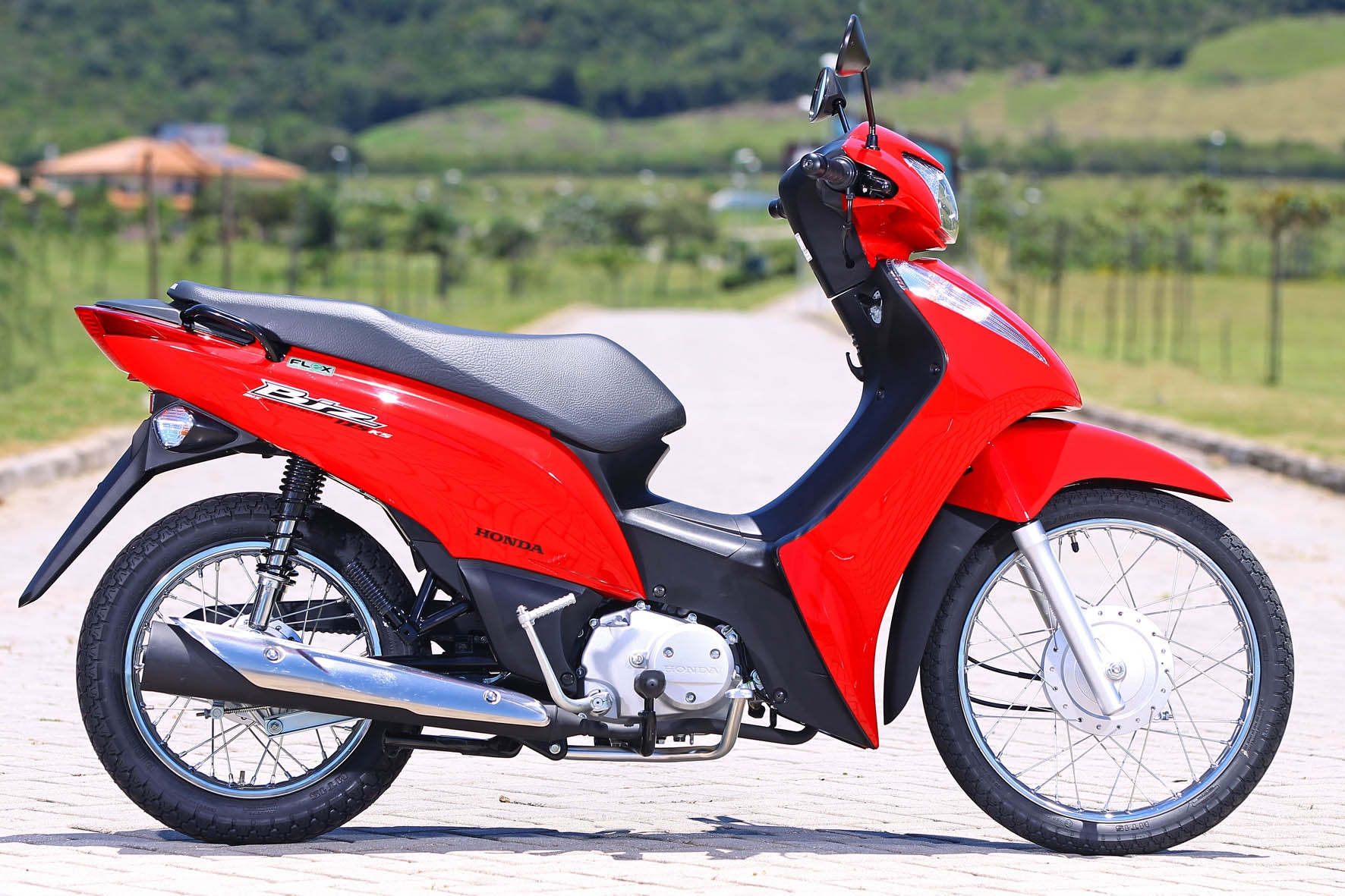 597especial_biz_flex_2011.jpg