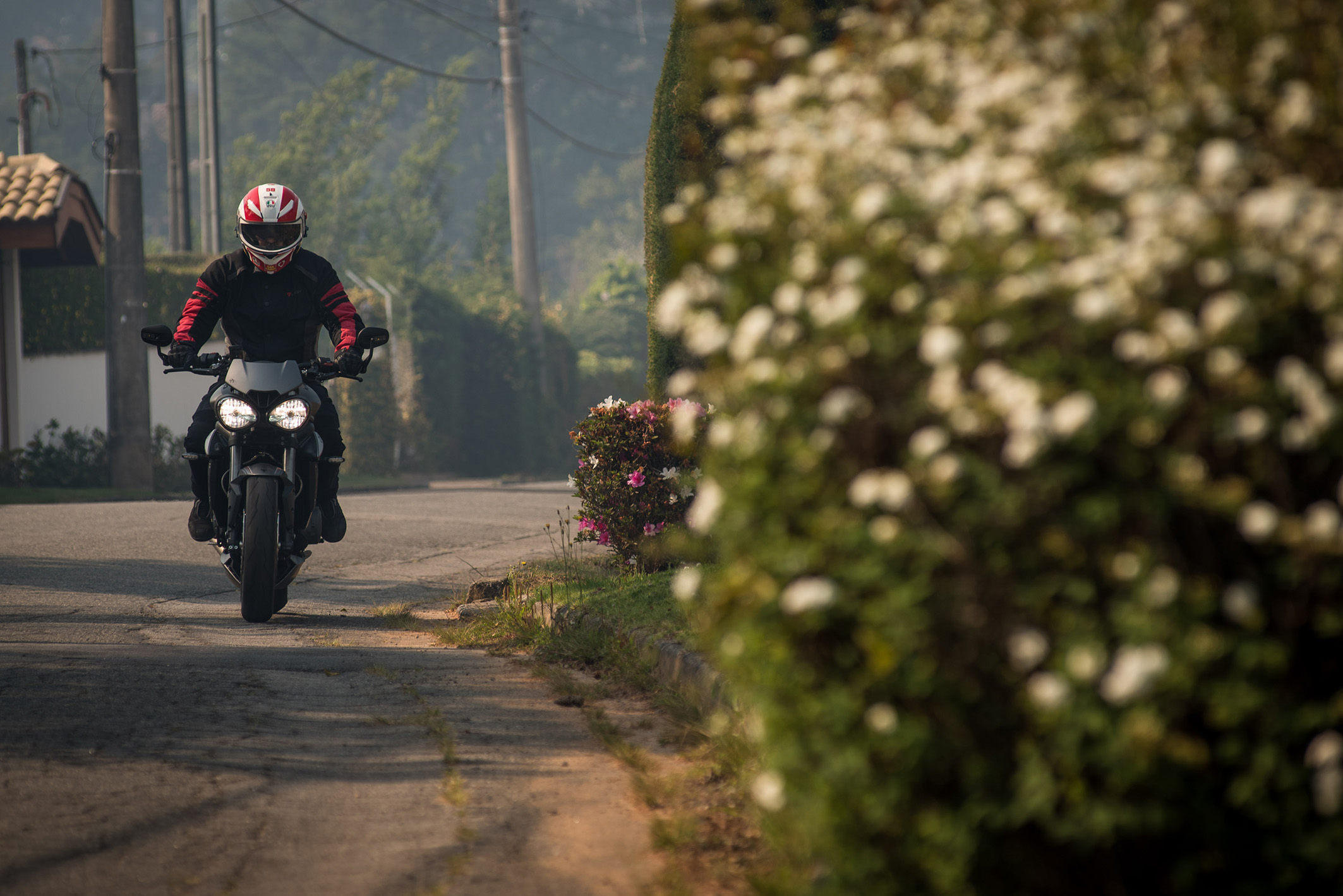  Triumph Street Triple RS                        