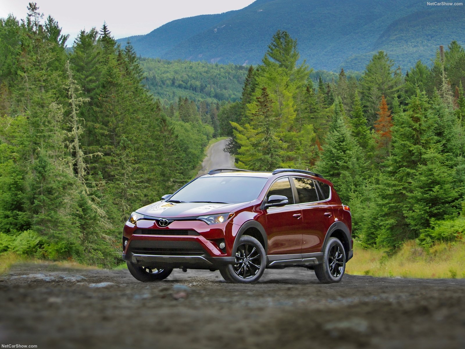 Toyota RAV4 2018