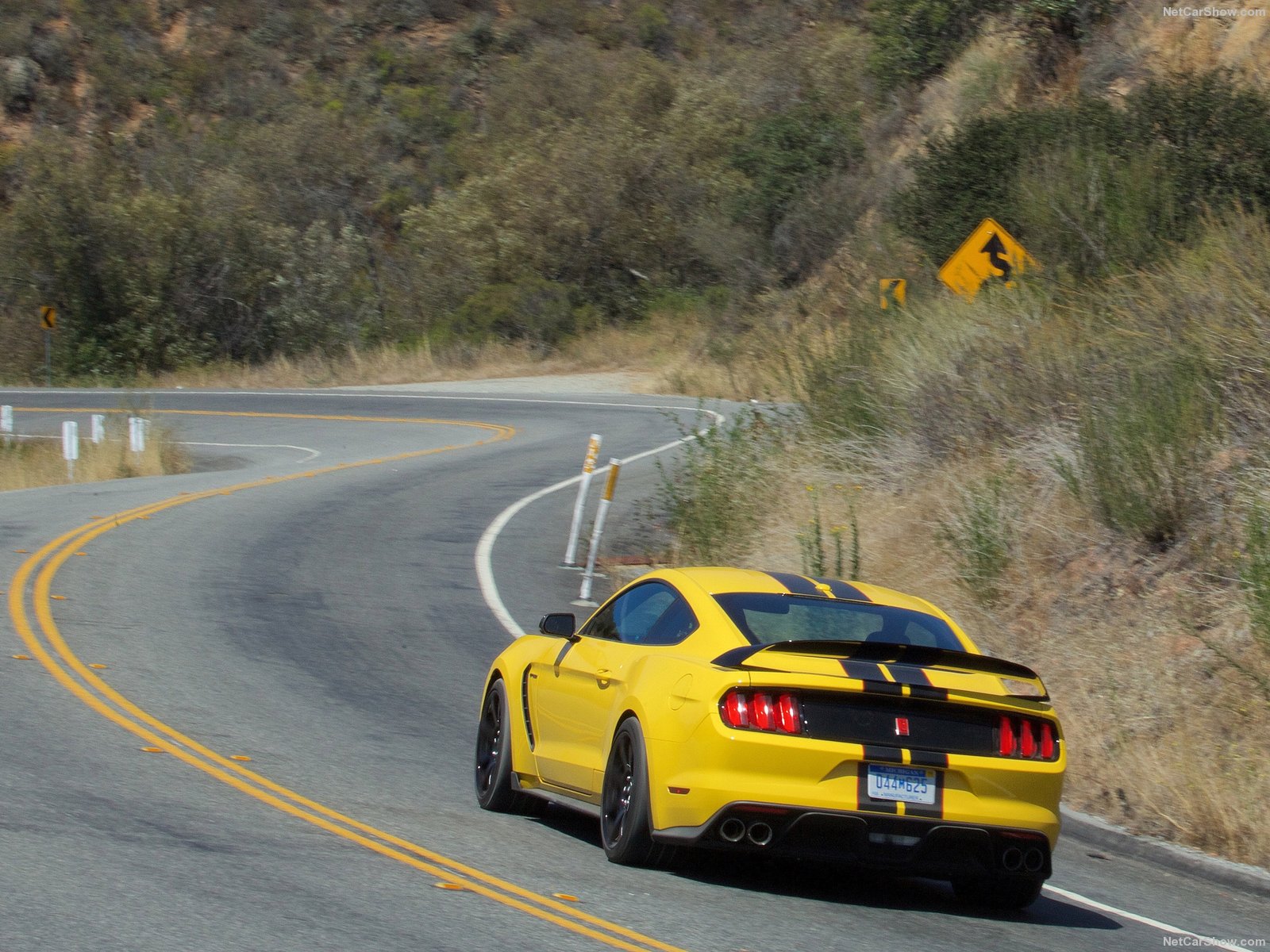 ford mustang shelby gt350r 2016