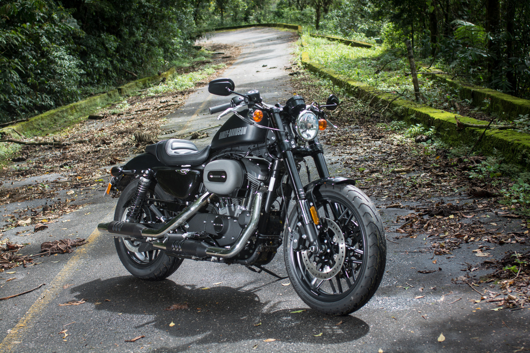 Harley-Davidson Roadster