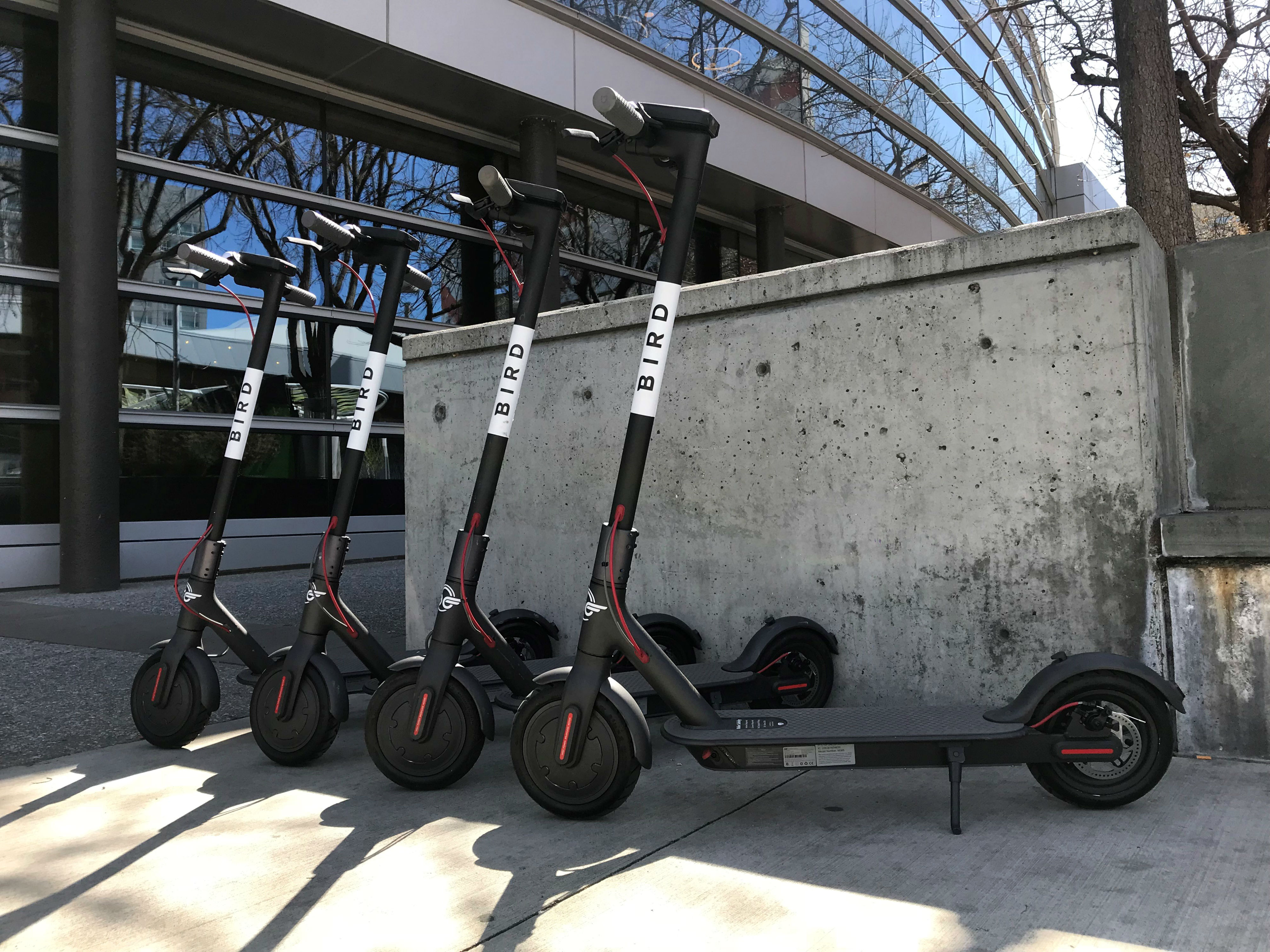 Patinetes Bird estacionados na frente do Centro de Convenções de San Jose, CA