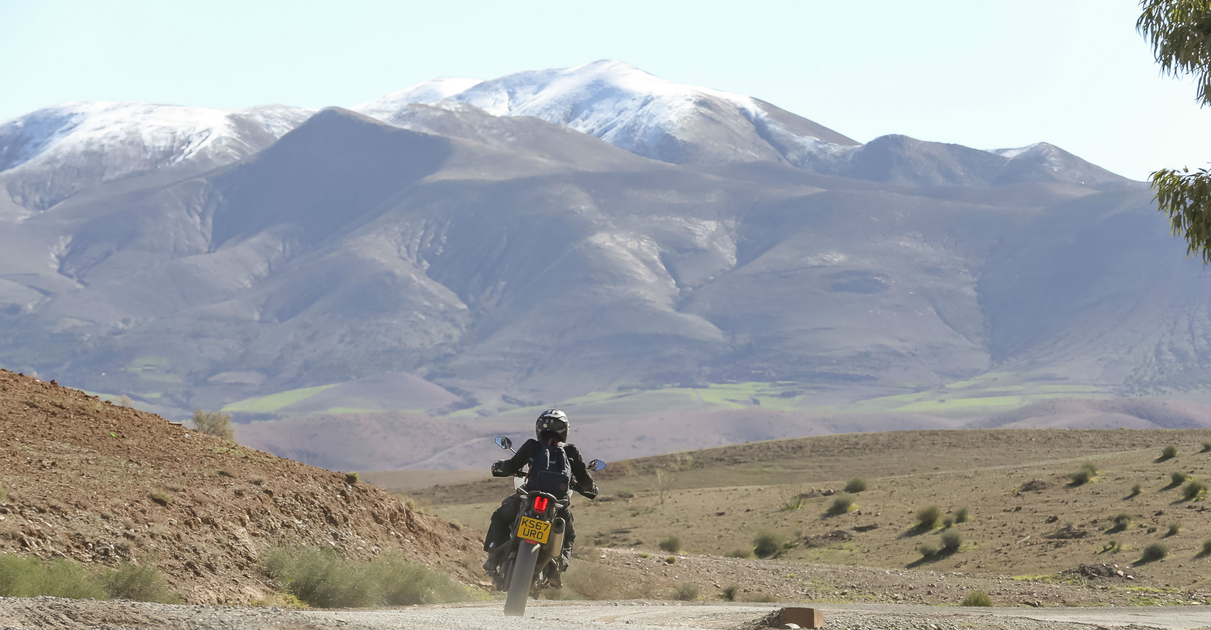  Nova Triumph Tiger 800