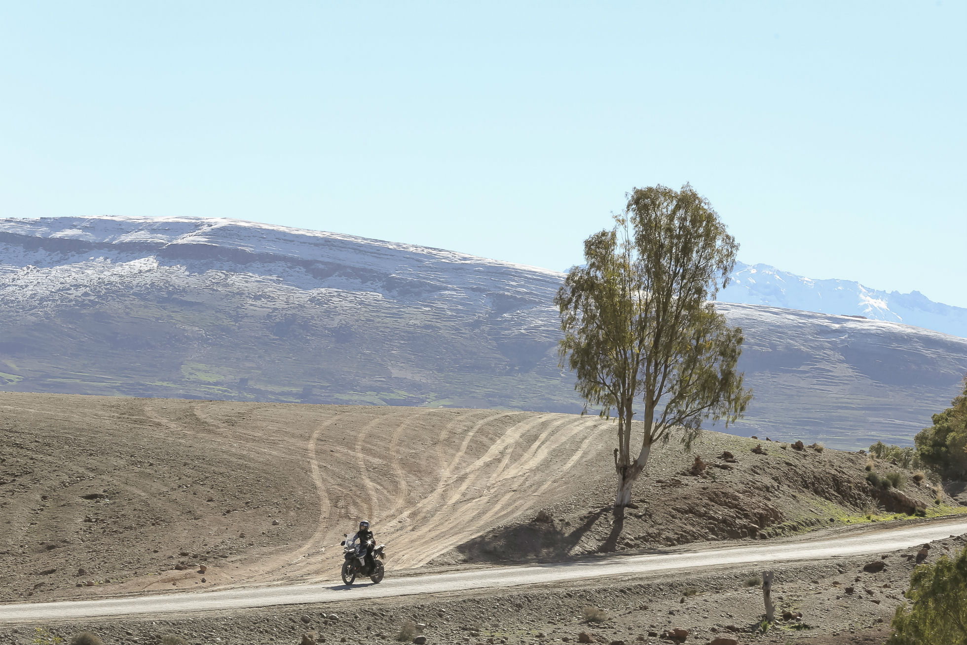 Nova Triumph Tiger 800