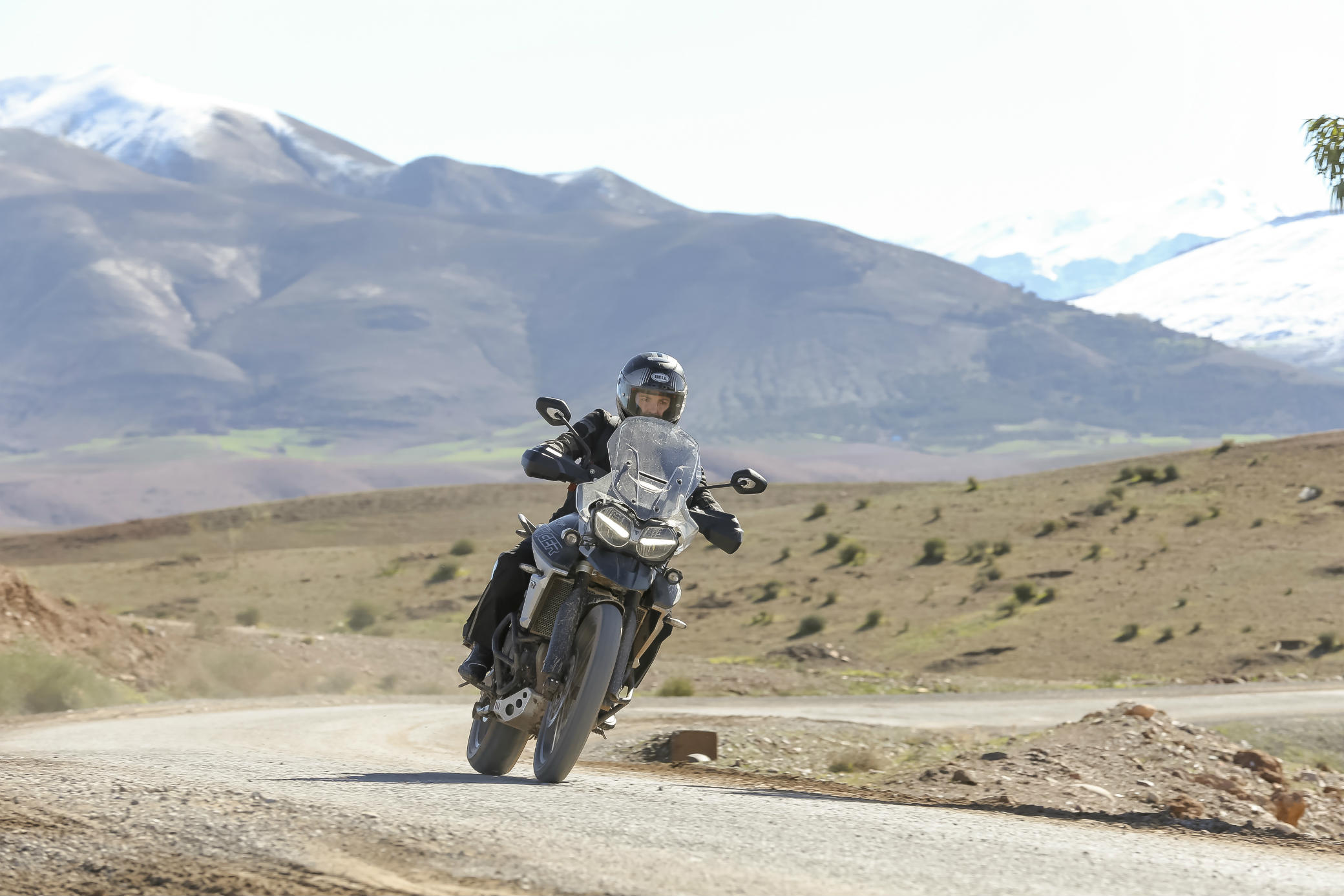 Nova Triumph Tiger 800