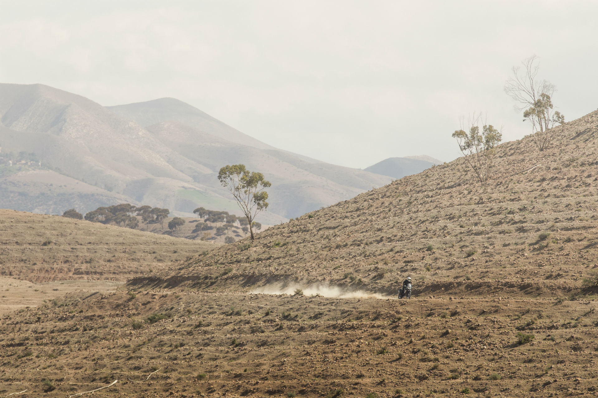  Nova Triumph Tiger 800 no Marrocos