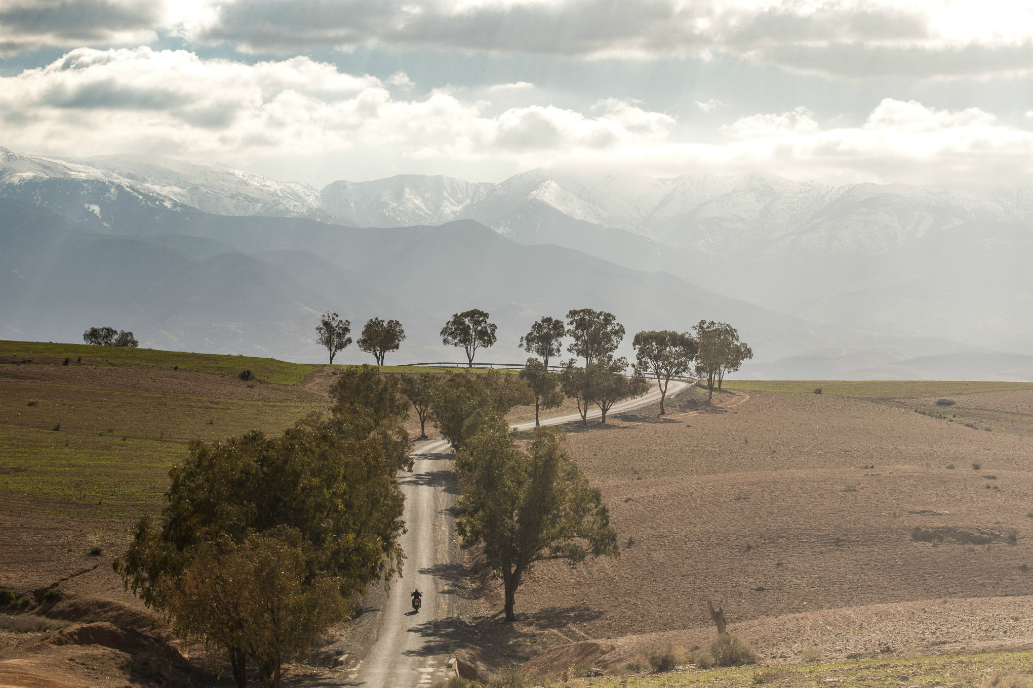  Nova Triumph Tiger 800