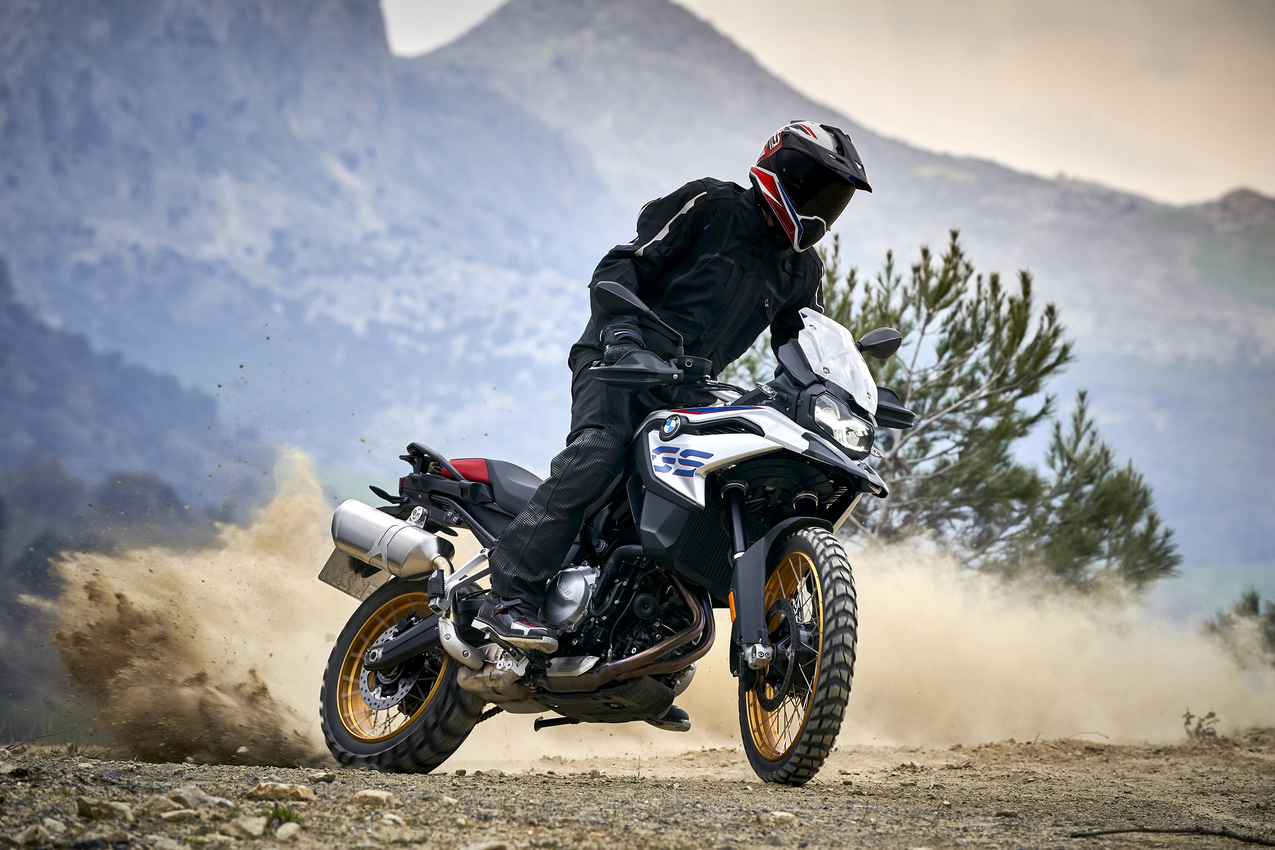 BMW F 850GS