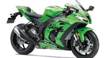 みどりさん10キロこ 633MUNDOMOTO_2019-Kawasaki-