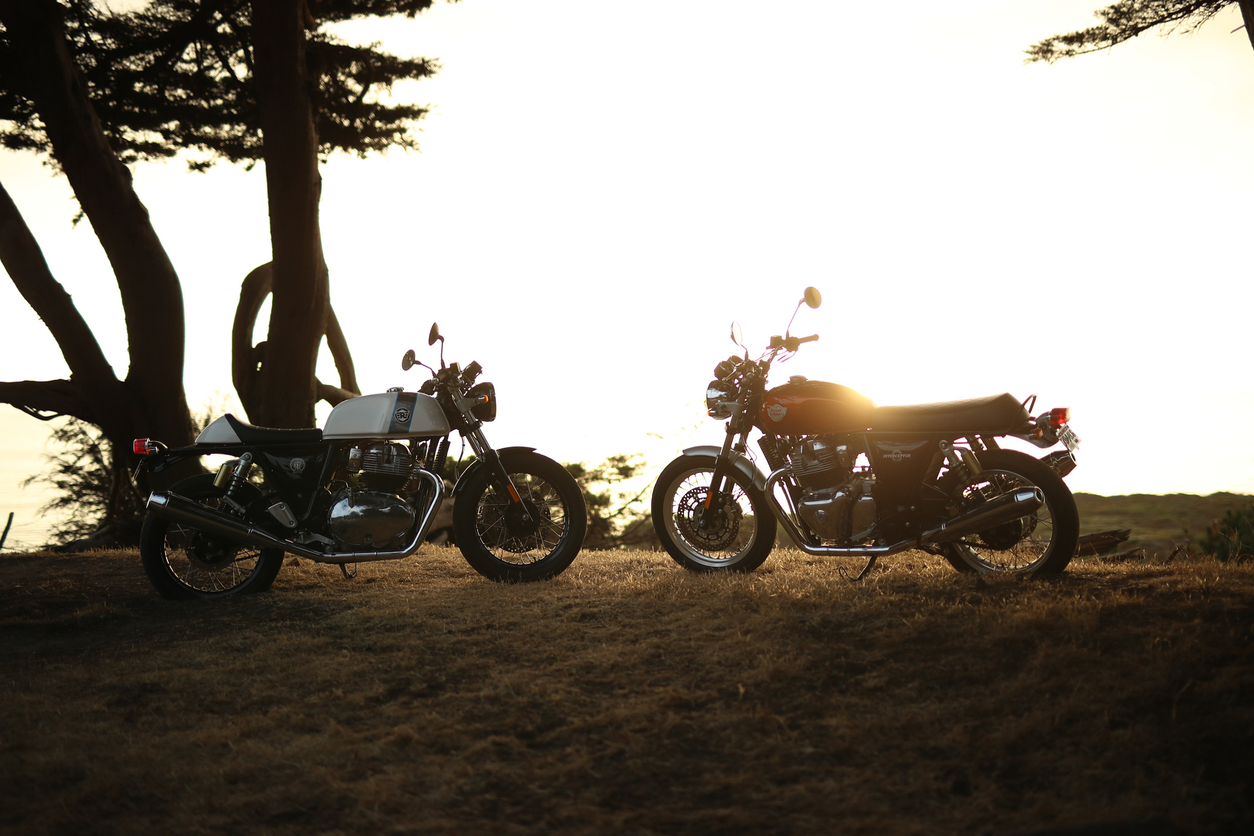  Royal Enfield Twins