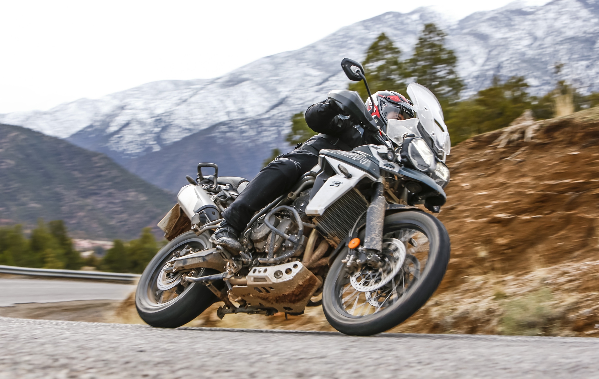 653aoguidÃo Triumph Tiger 800 04 20191249400