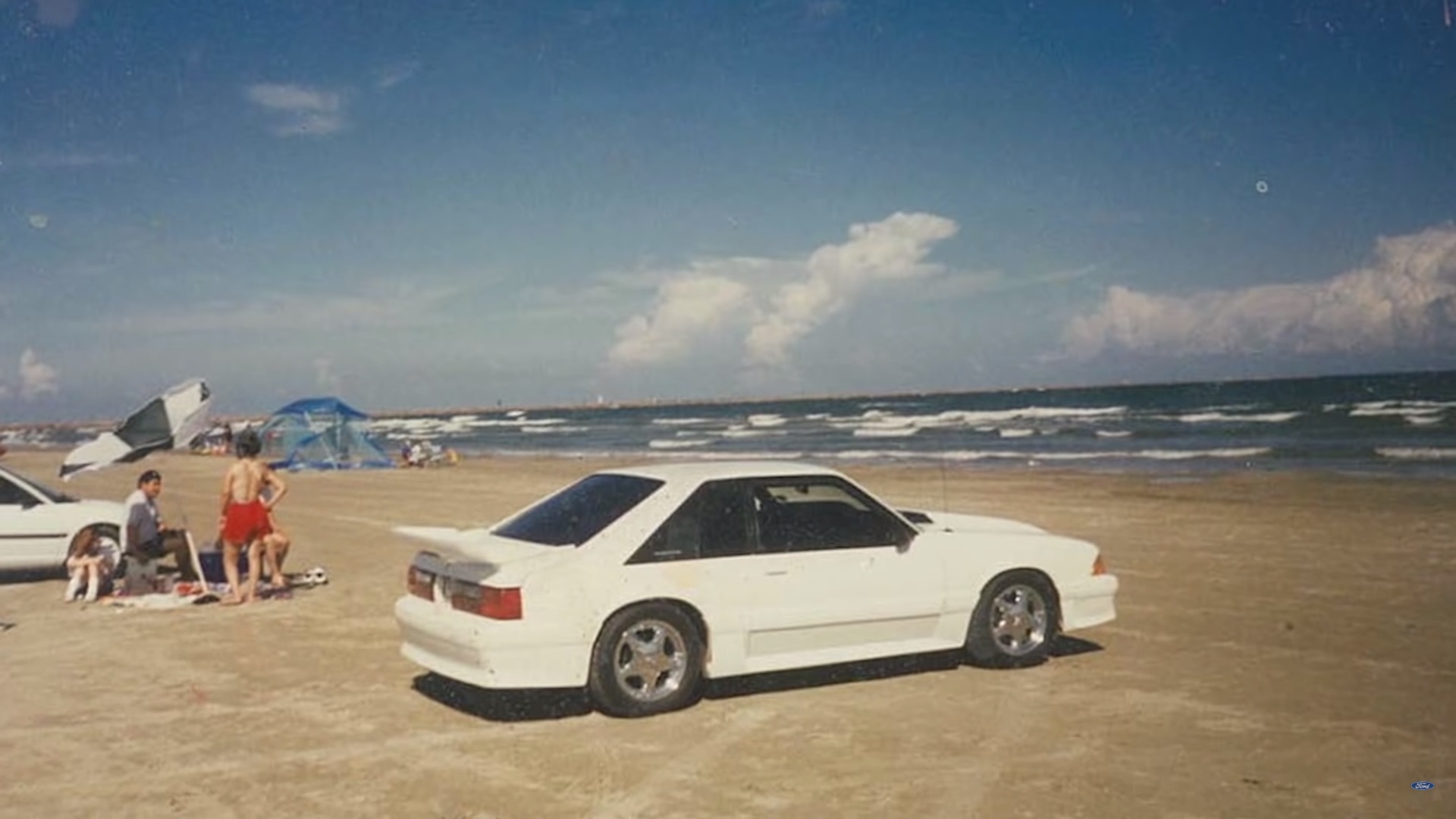 Mustang Familiaryan 3